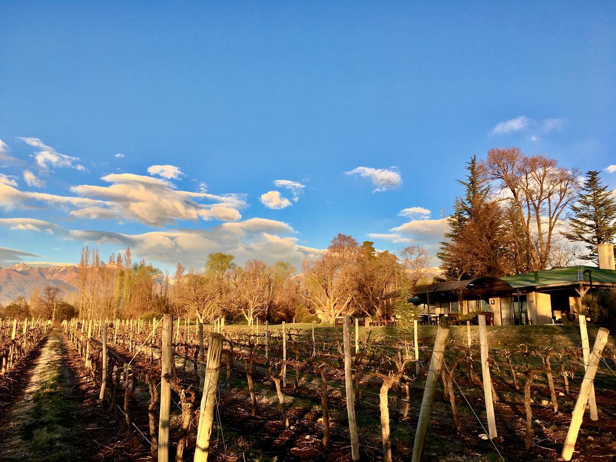 Posada Salentein Los Arboles ภายนอก รูปภาพ