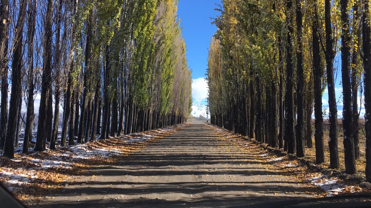 Posada Salentein Los Arboles ภายนอก รูปภาพ