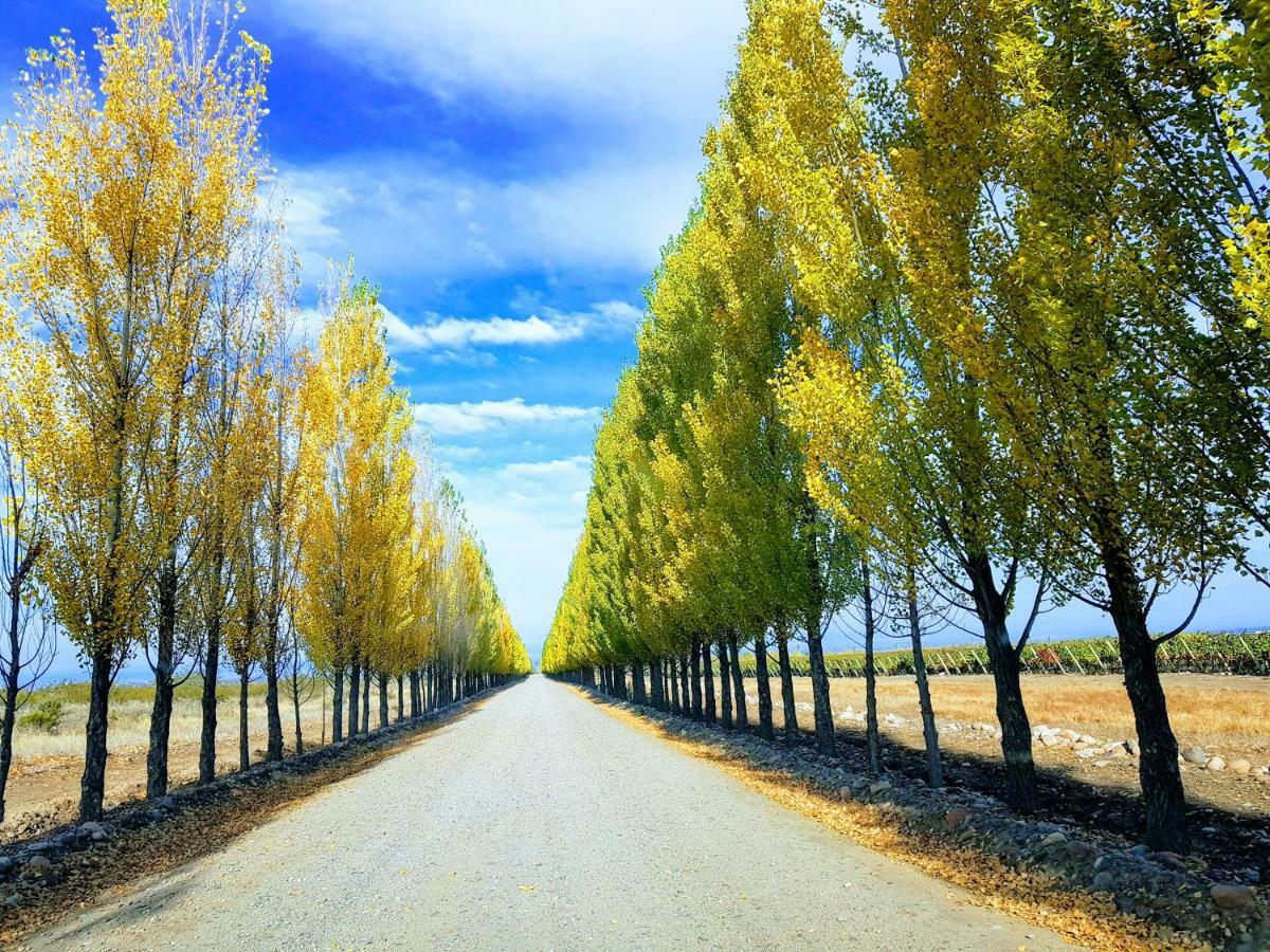 Posada Salentein Los Arboles ภายนอก รูปภาพ
